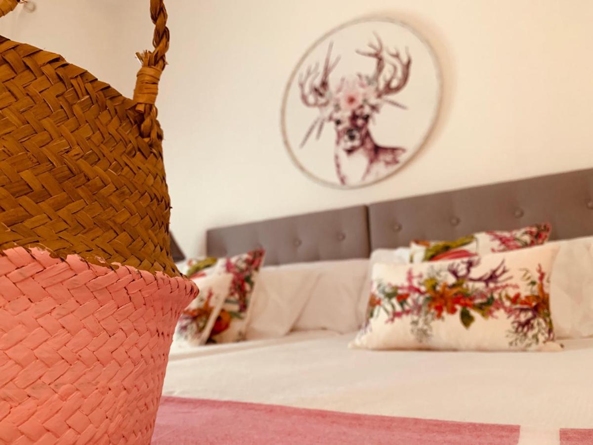 Hotel Casa Ruy Lopez Zafra Zewnętrze zdjęcie